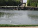 VERSAILLES AVRIL 2015