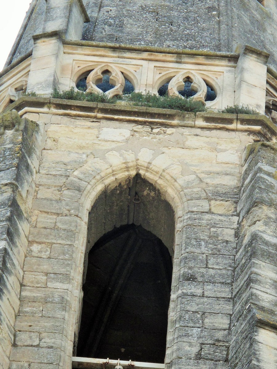 AVIGNON JUIN 2015